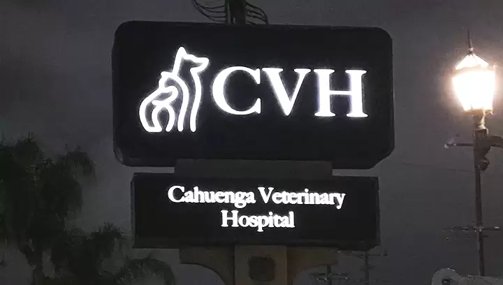 Pylon sign for Cahuenga Veterinary Hospital featuring illuminated letters on a black background