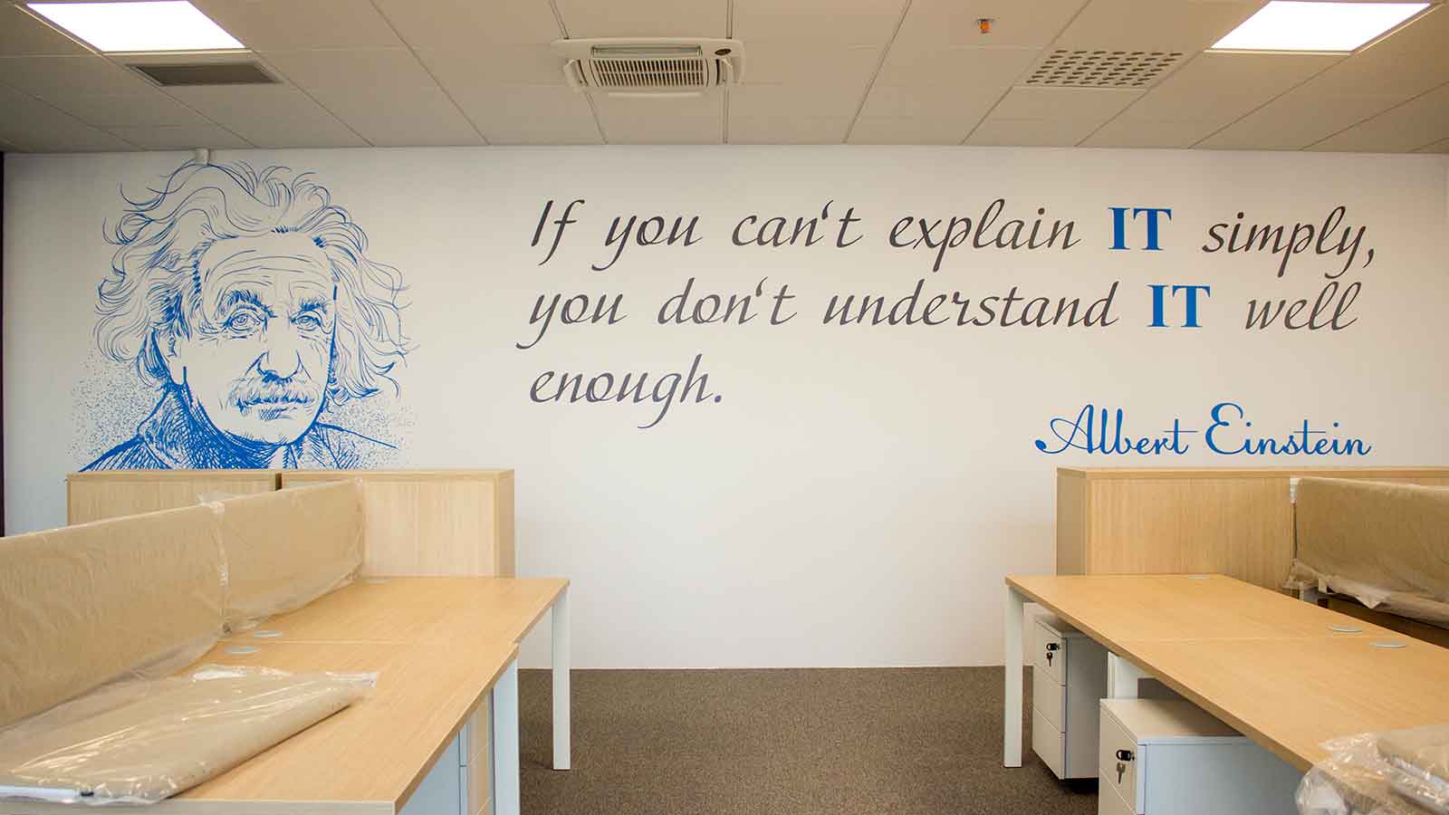 albert einstein quote vinyl wall stickers