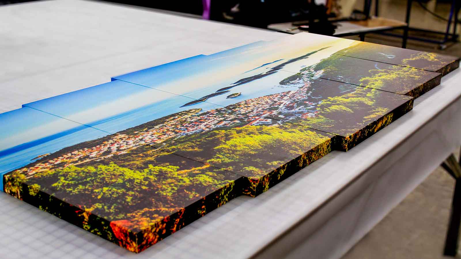 Printed Canvas Collage with mirrored edges