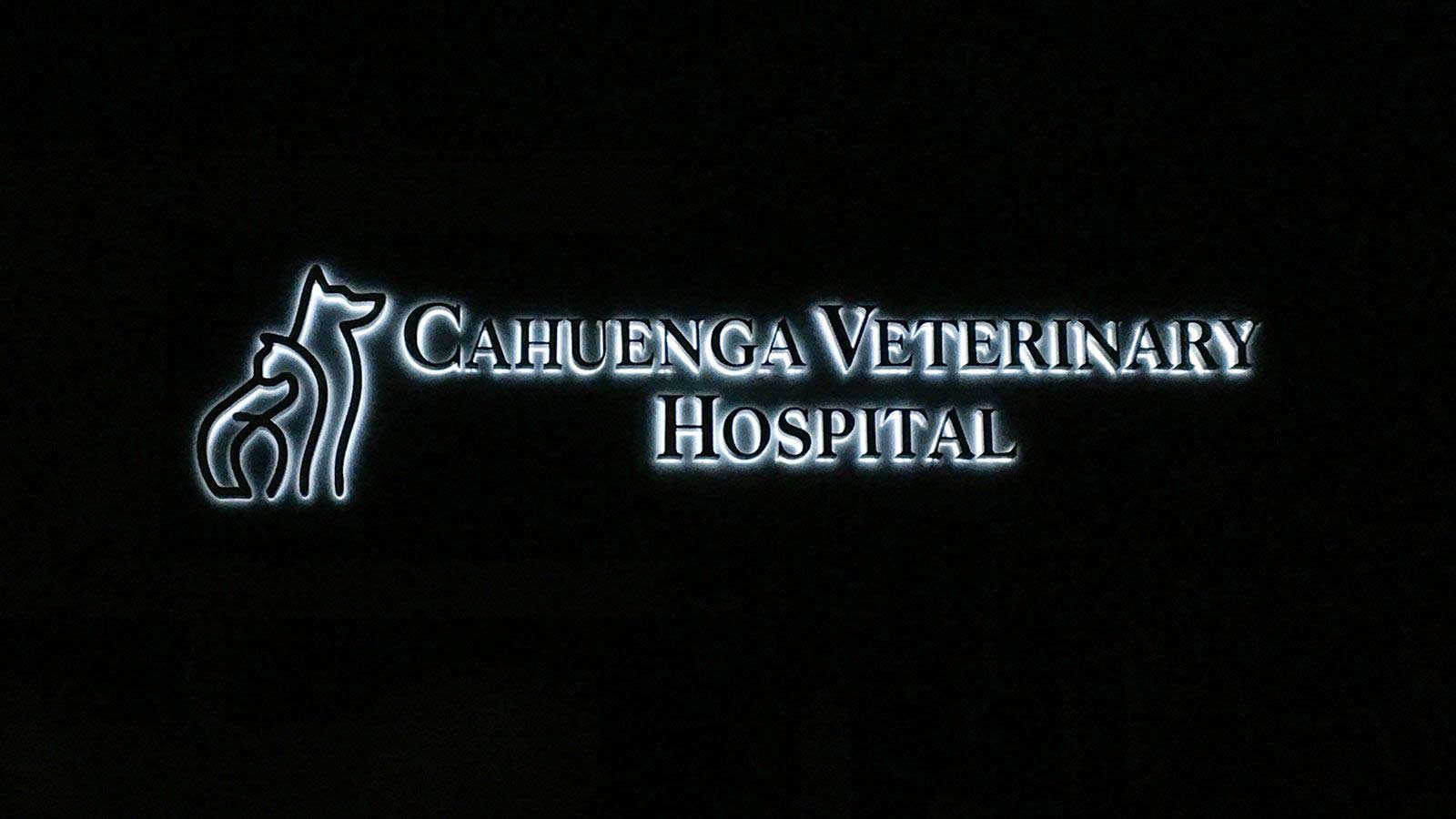 cahuenga veterinary hospital backlit letters